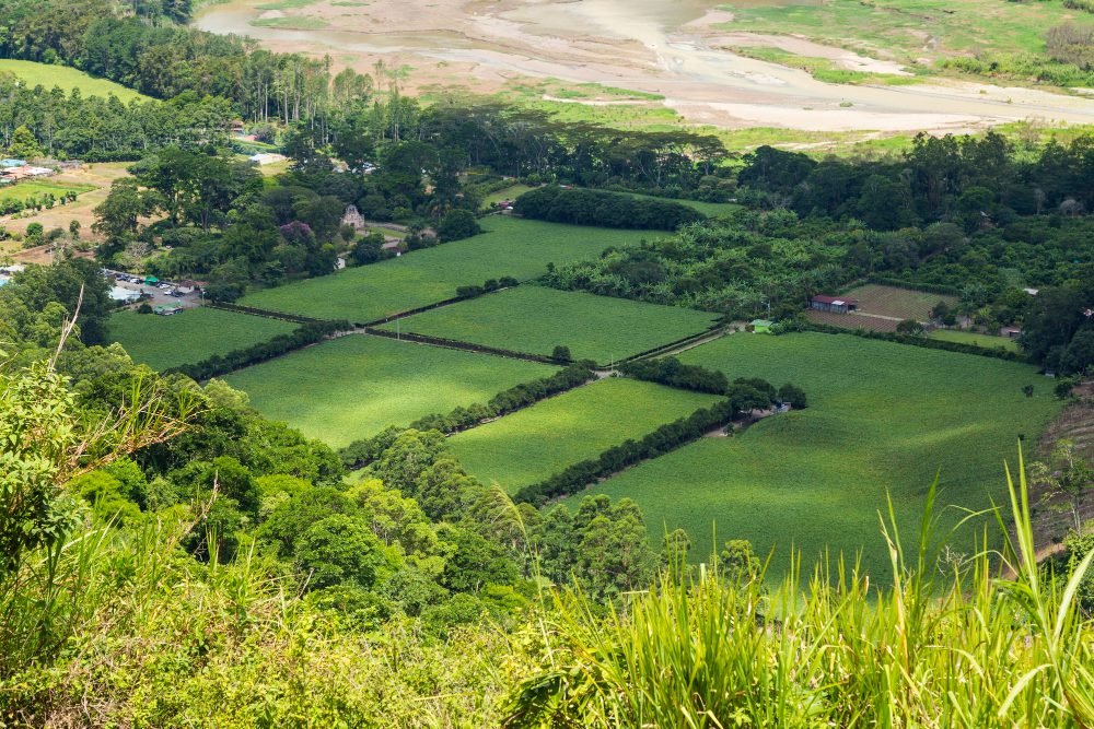 Eviter mauvaises surprises terrains à bâtir