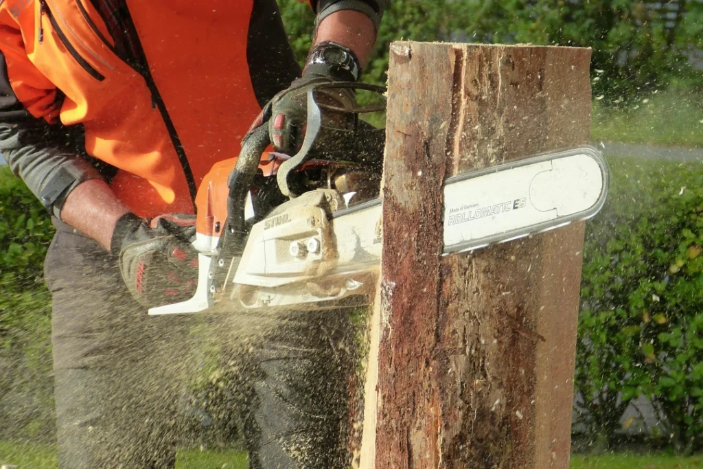 Bien choisir sa tronçonneuse pour entretenir son jardin et réussir ses travaux extérieurs